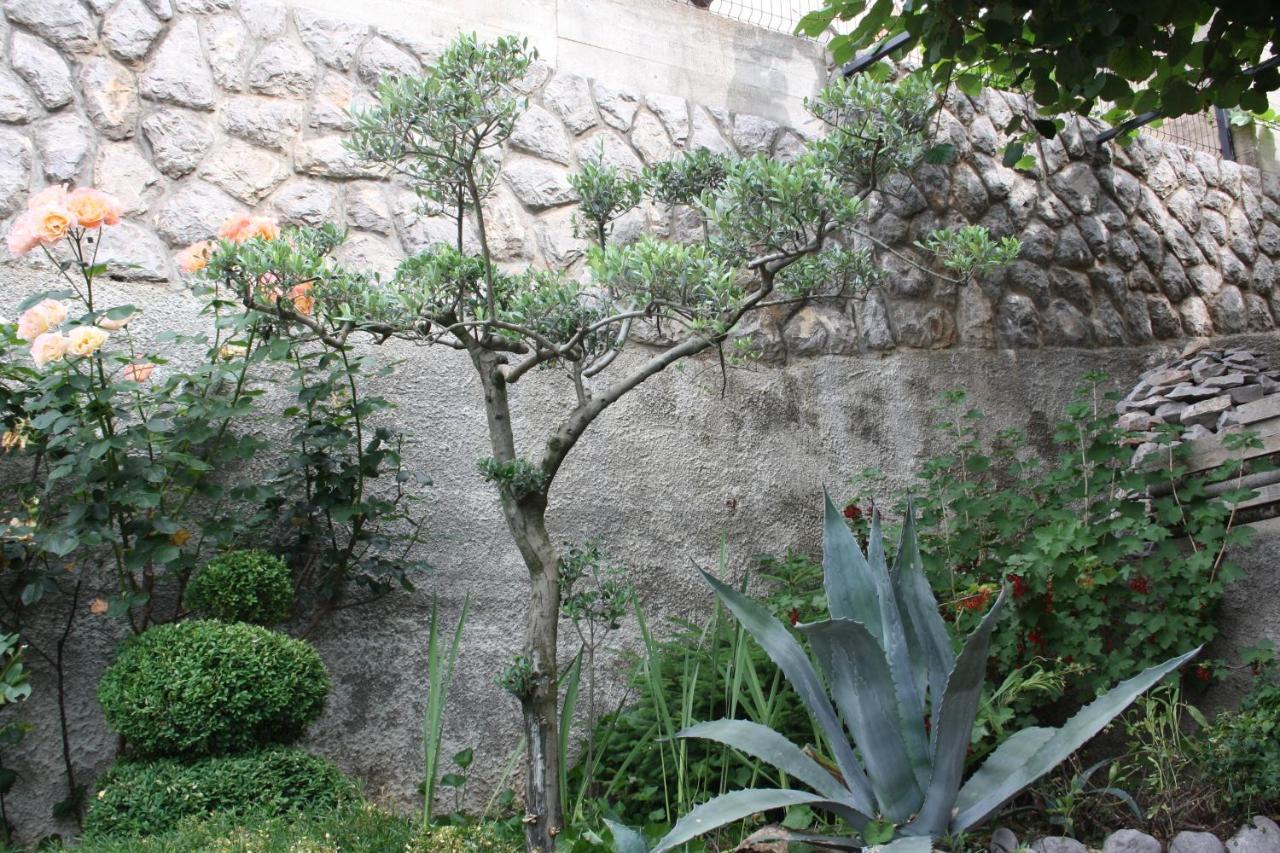 רייקה Lux Villa מראה חיצוני תמונה